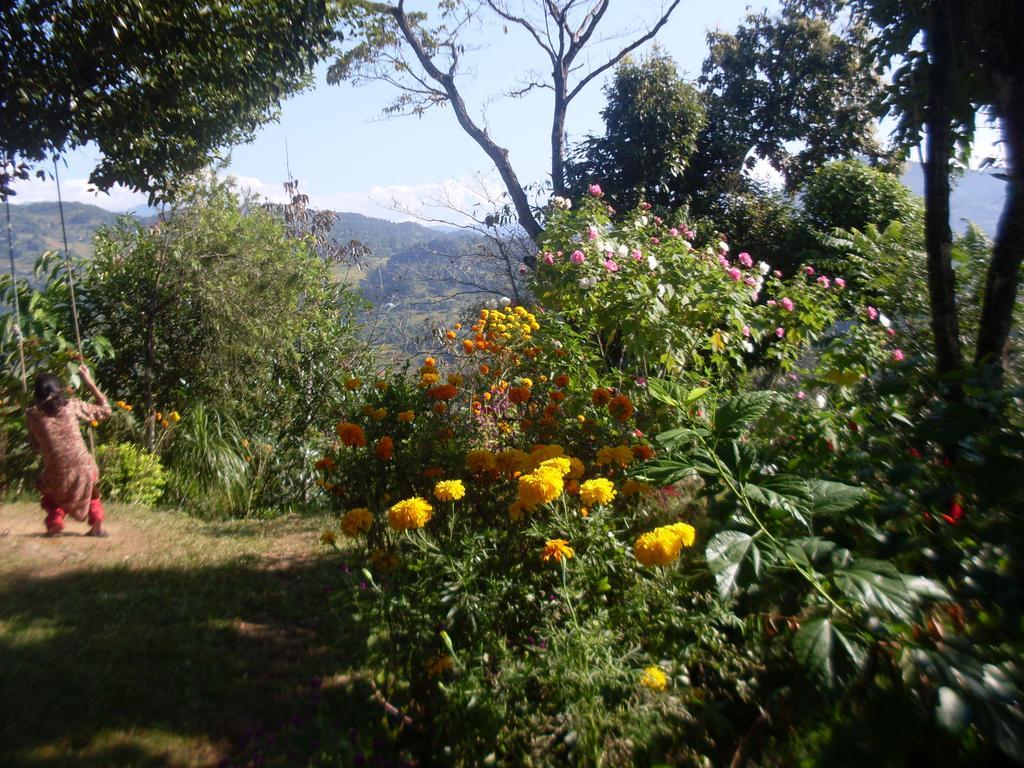 Bed and Breakfast Dinesh House Pokhara Exterior foto