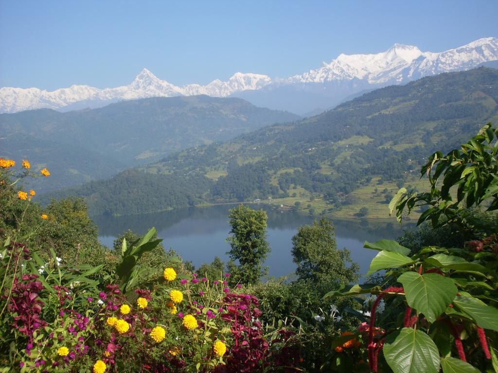 Bed and Breakfast Dinesh House Pokhara Exterior foto